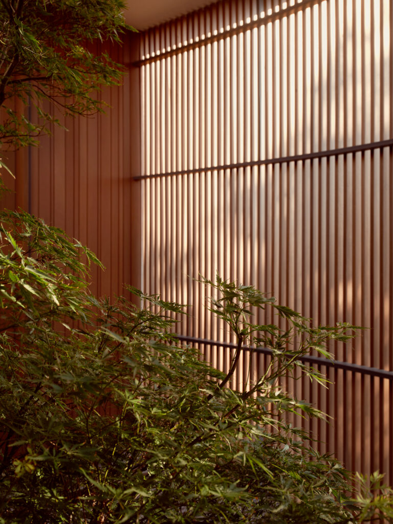 Interview With Kevin Alter Of Alterstudio Architecture 9 City park residence / alterstudio architecture