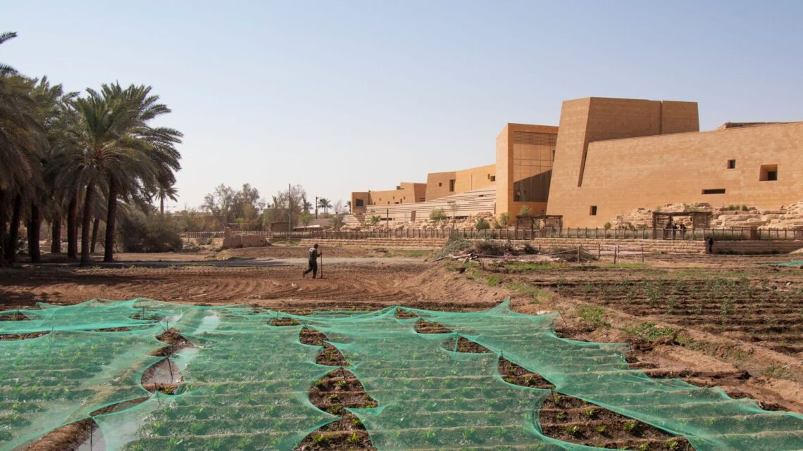 Diriyah art futures contemporary art hub / schiattarella associati