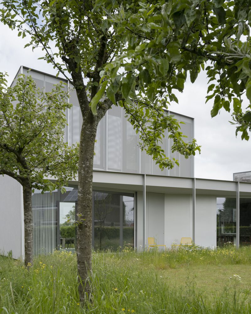 House Wadd / Basil Architecture 9 House wadd / basil architecture