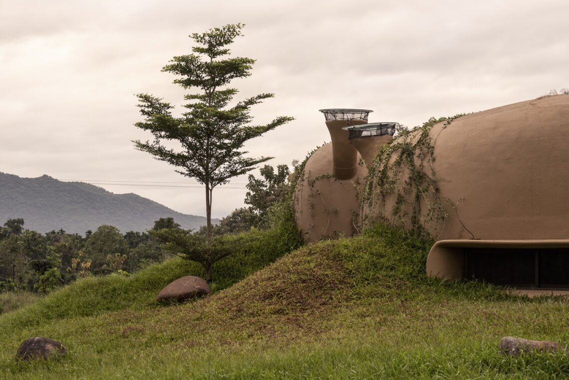 Into the wild house / earthscape studio