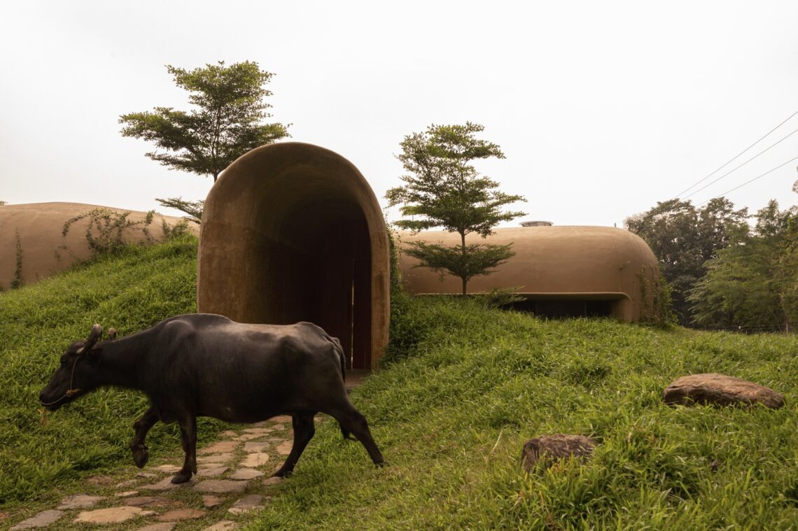 Into the wild house / earthscape studio