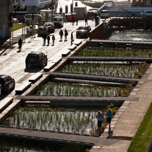 Jellicoe Harbour And Silo Park / Taylor Cullity Lethlean And Wraight + Associates 27 Jellicoe harbour and silo park / taylor cullity lethlean and wraight + associates