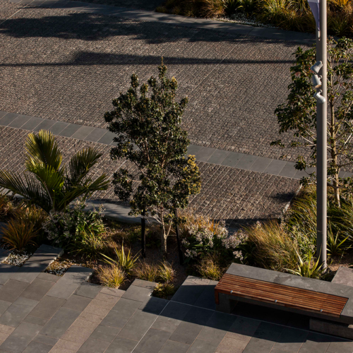 Jellicoe Harbour And Silo Park / Taylor Cullity Lethlean And Wraight + Associates 18 Jellicoe harbour and silo park / taylor cullity lethlean and wraight + associates