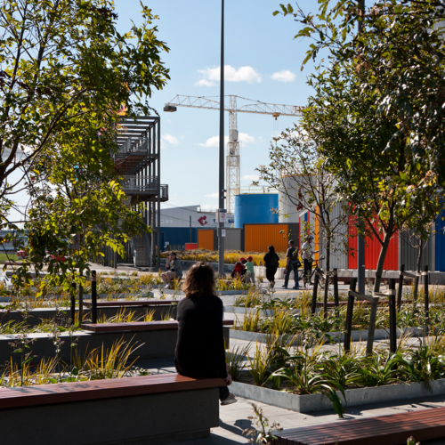 Jellicoe Harbour And Silo Park / Taylor Cullity Lethlean And Wraight + Associates 12 Jellicoe harbour and silo park / taylor cullity lethlean and wraight + associates