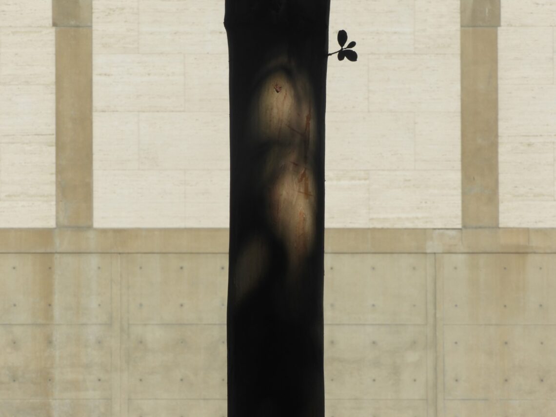 Interview With Nikola Olić Of Structure Photography 3 Kimbell 02