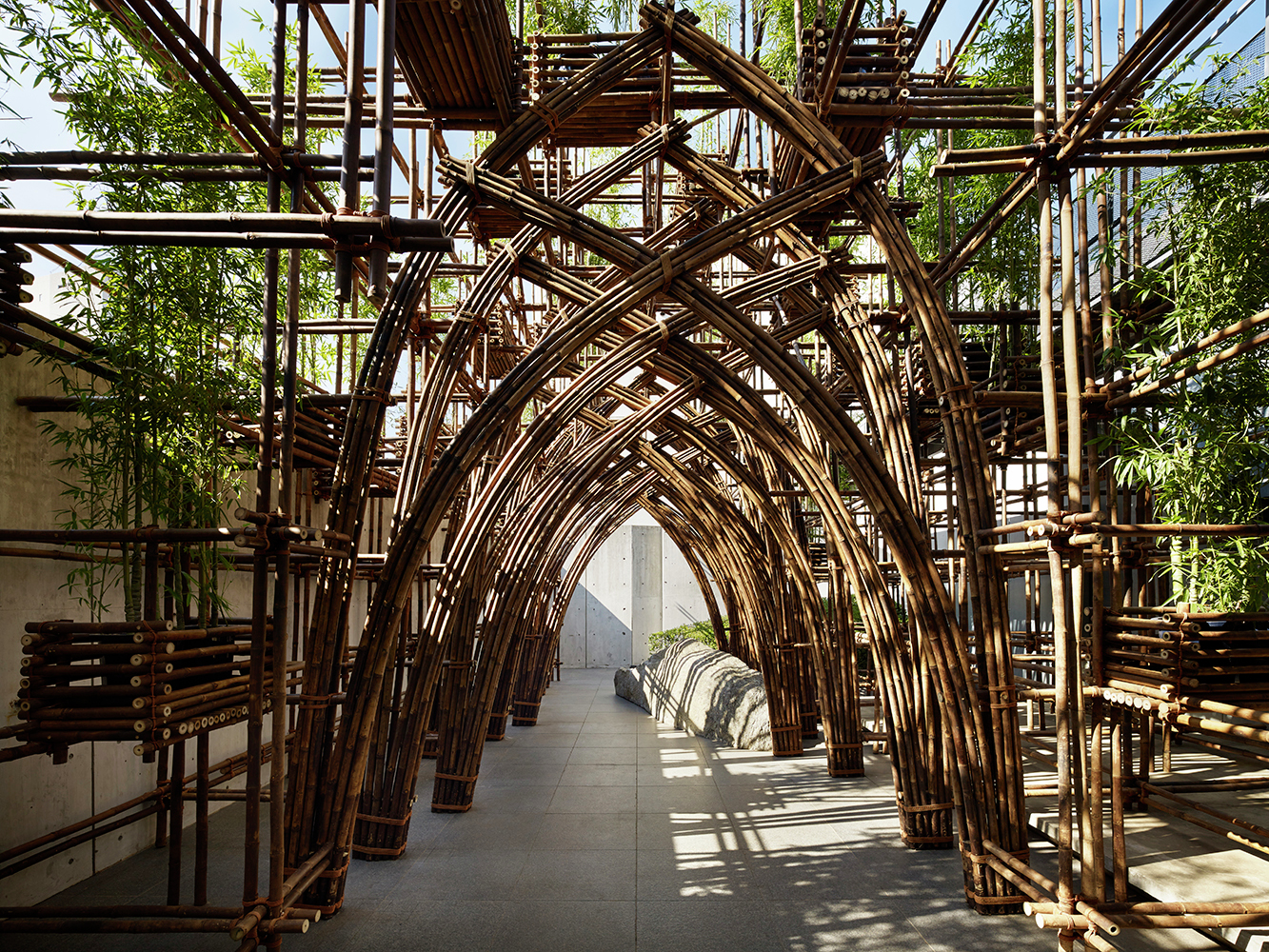 Pic01_Frontlower_Moriya Bamboo forest / vtn architects