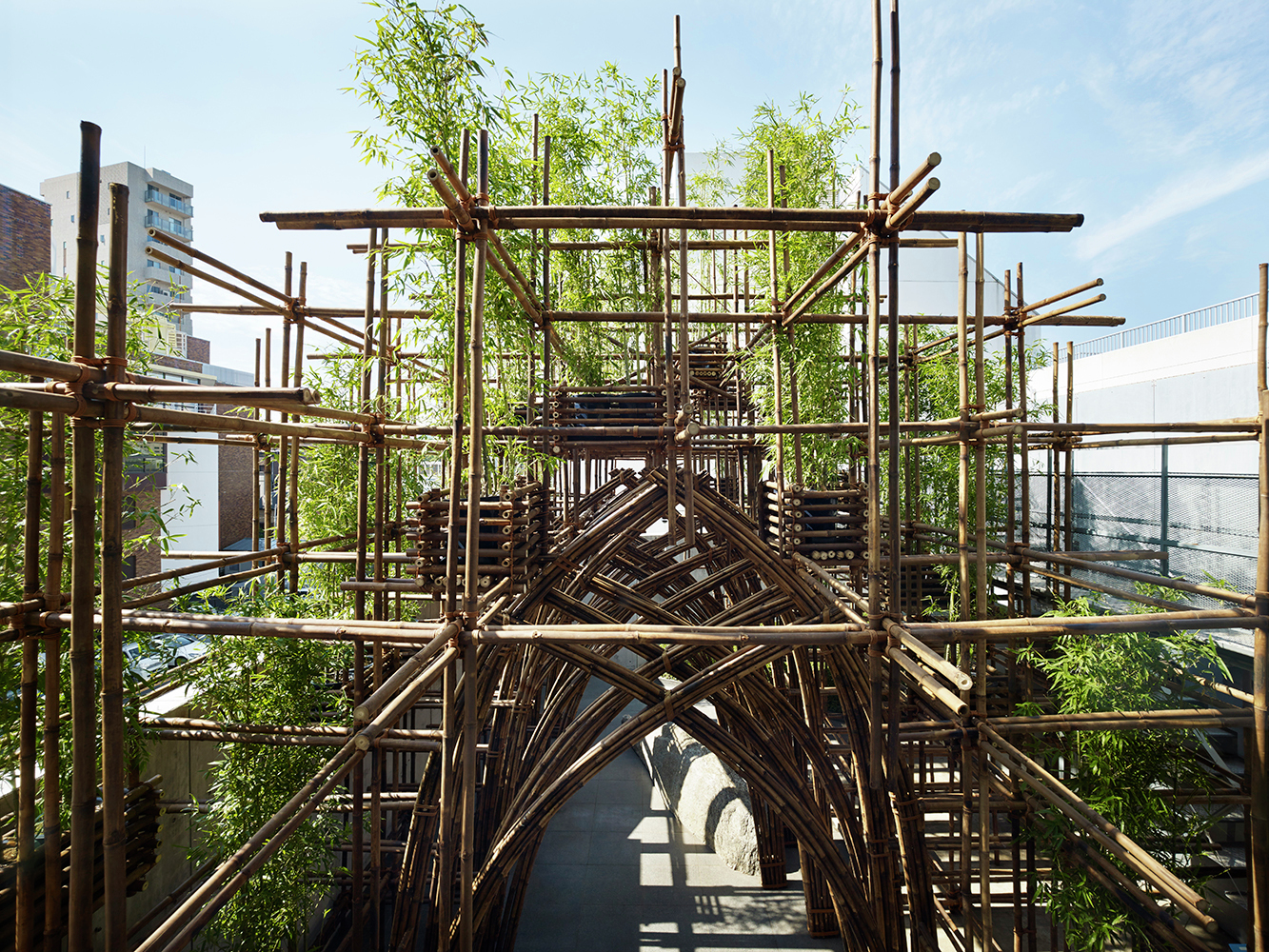 Pic02_Frontupper_Moriya Bamboo forest / vtn architects