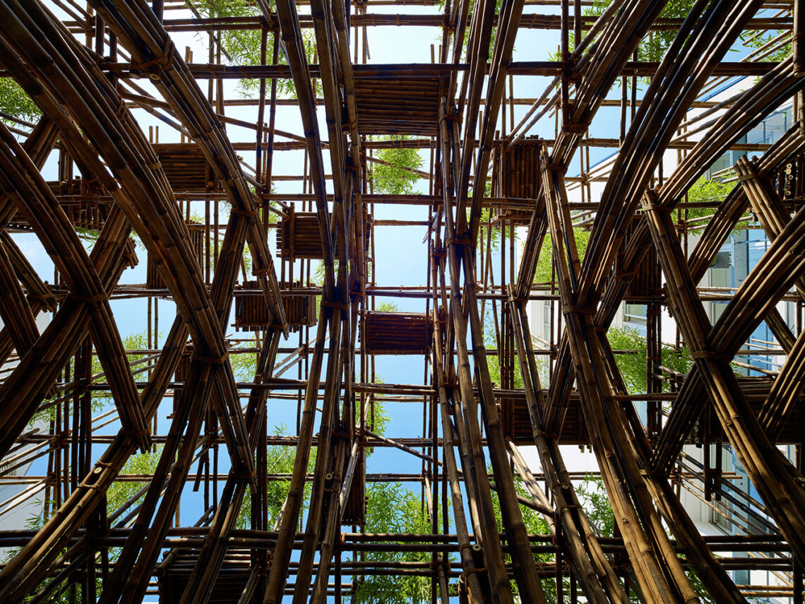 Bamboo Forest / Vtn Architects 12 Bamboo forest / vtn architects