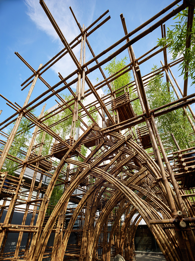 Bamboo Forest / Vtn Architects 8 Bamboo forest / vtn architects