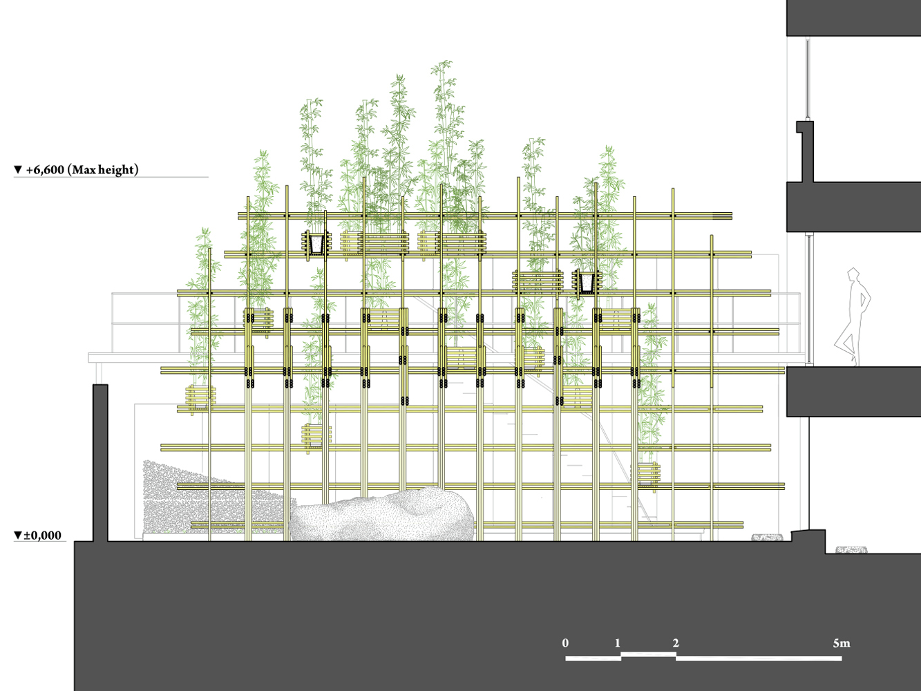 /Users/Taka3206/Desktop/308_Gma/02_Dwg/1030/Gma_Dwg_Vtn 151102.D Bamboo forest / vtn architects