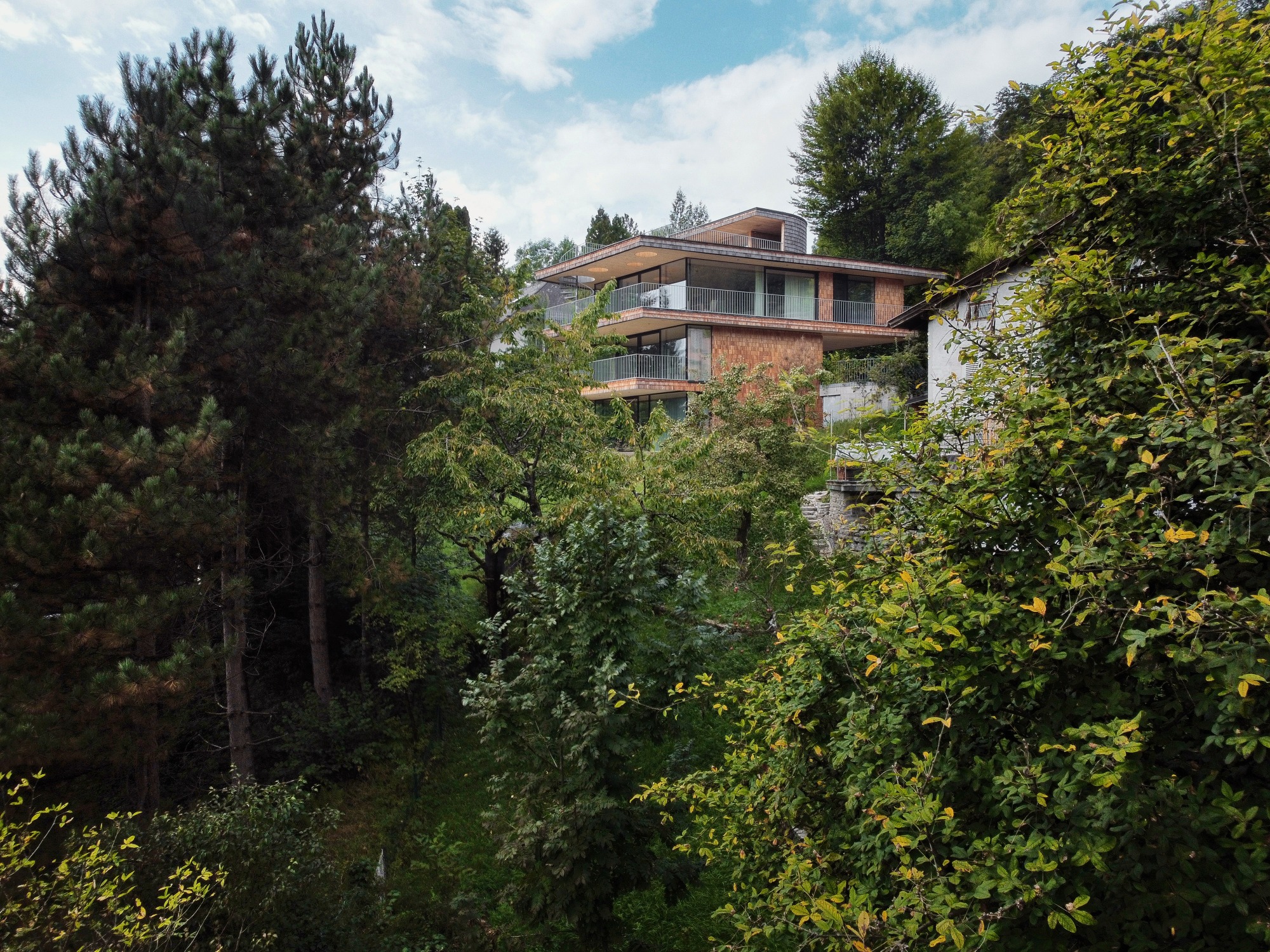 Above the trees / lechner & lechner architects
