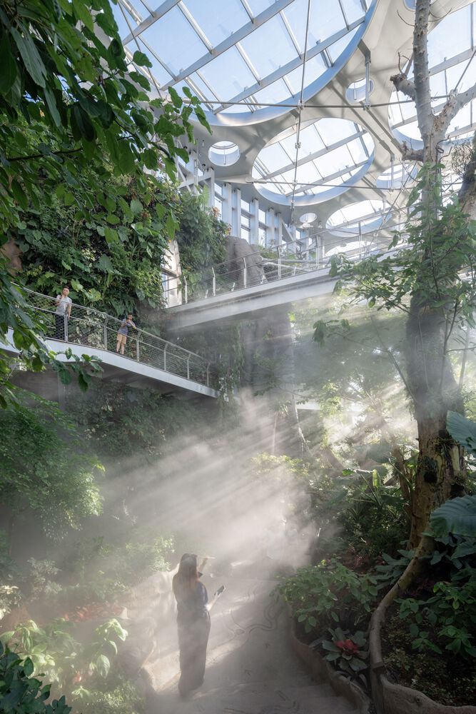 420_Expo-Cultural-Park-Greenhouse-Garden_Createar_Interior_Tropicalforest_Pathway Expo cultural park greenhouse garden / delugan meissl associated architects