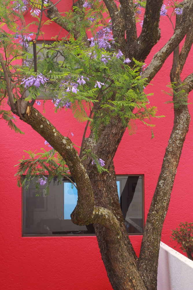 Gilardi house / luis barragán | classics on architecture lab