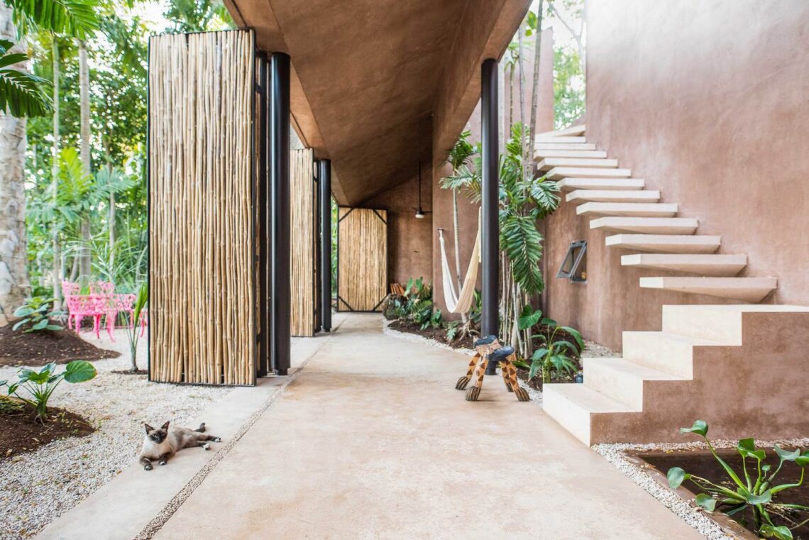 Interview With Carlos Patrón Ibarra Of Taco Taller De Arquitectura Contextual 3 Taco p¢rtico palmeto 23