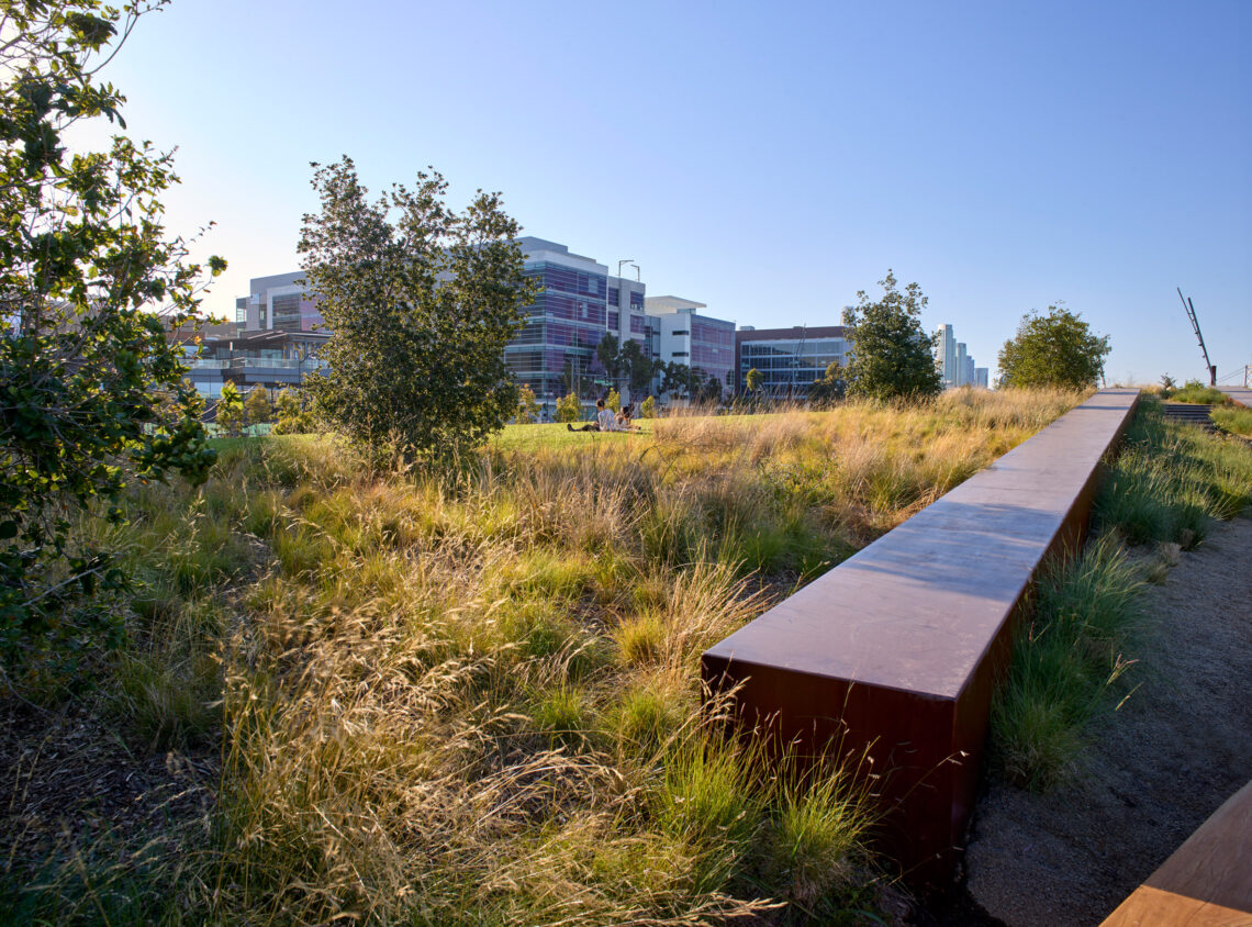 Bayfront park / surfacedesign