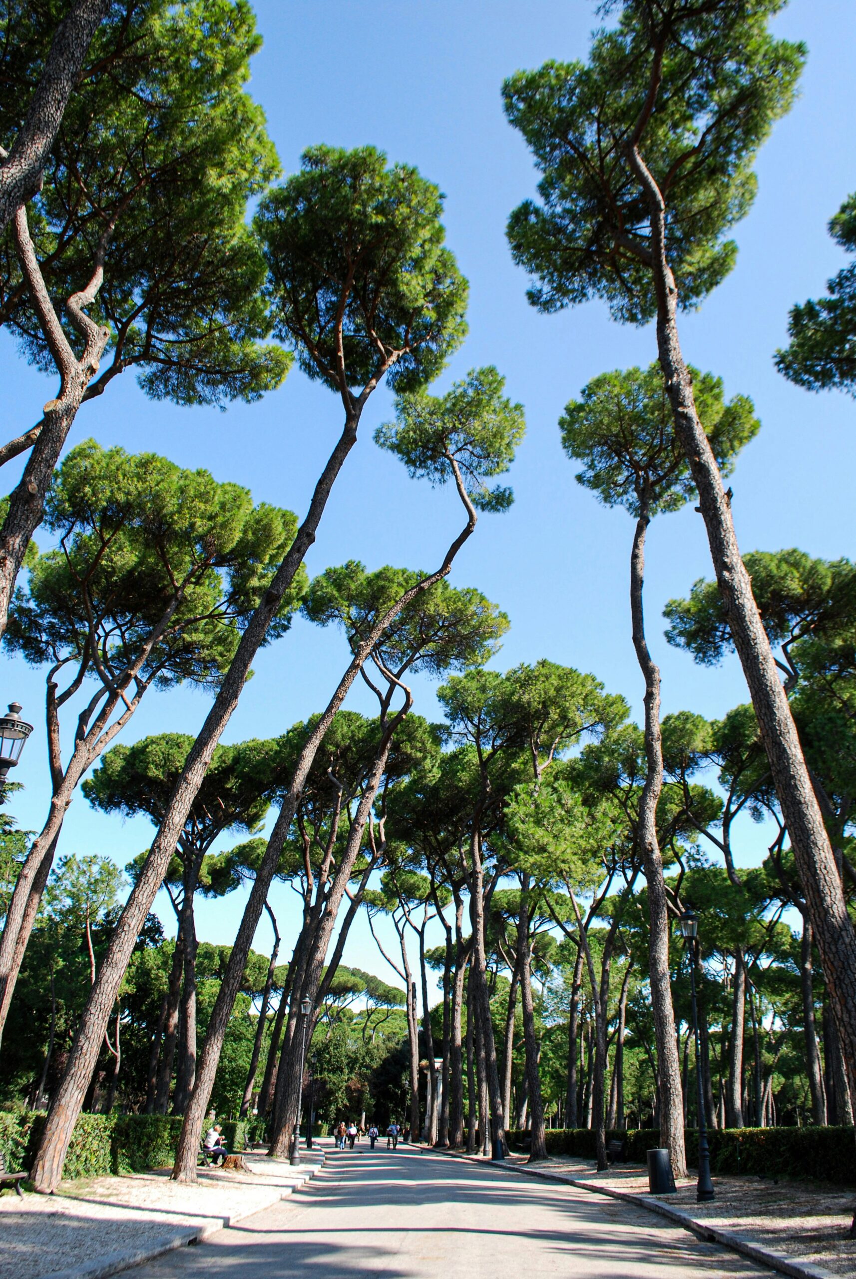 Architecture In Rome: Visit The Top Architectural Landmarks In Rome 158 Architecture in rome: visit the top architectural landmarks in rome