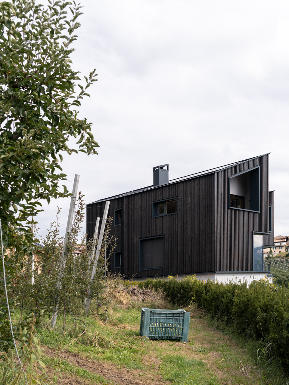 04_Modusarchitects_Hometown House_©Marco Cappelletti Hometown house / modusarchitects
