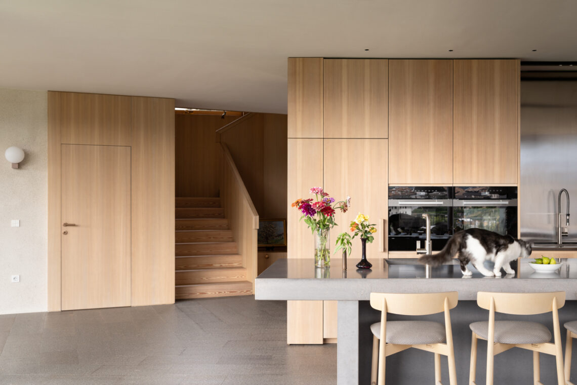 Hometown House / Modusarchitects 3 Hometown house / modusarchitects