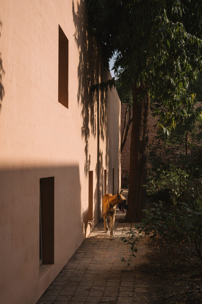 Mana Workplace/ Iksoi Studio 21 Mana / iksoi studio