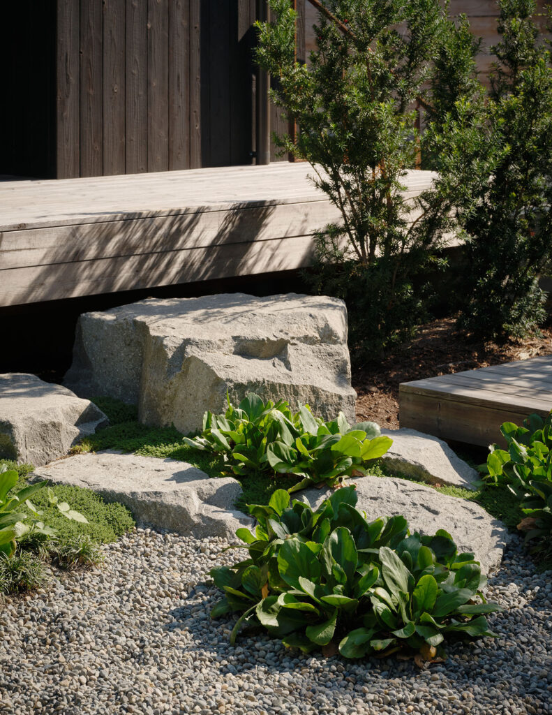 Mr. Belvedere / linework architecture
