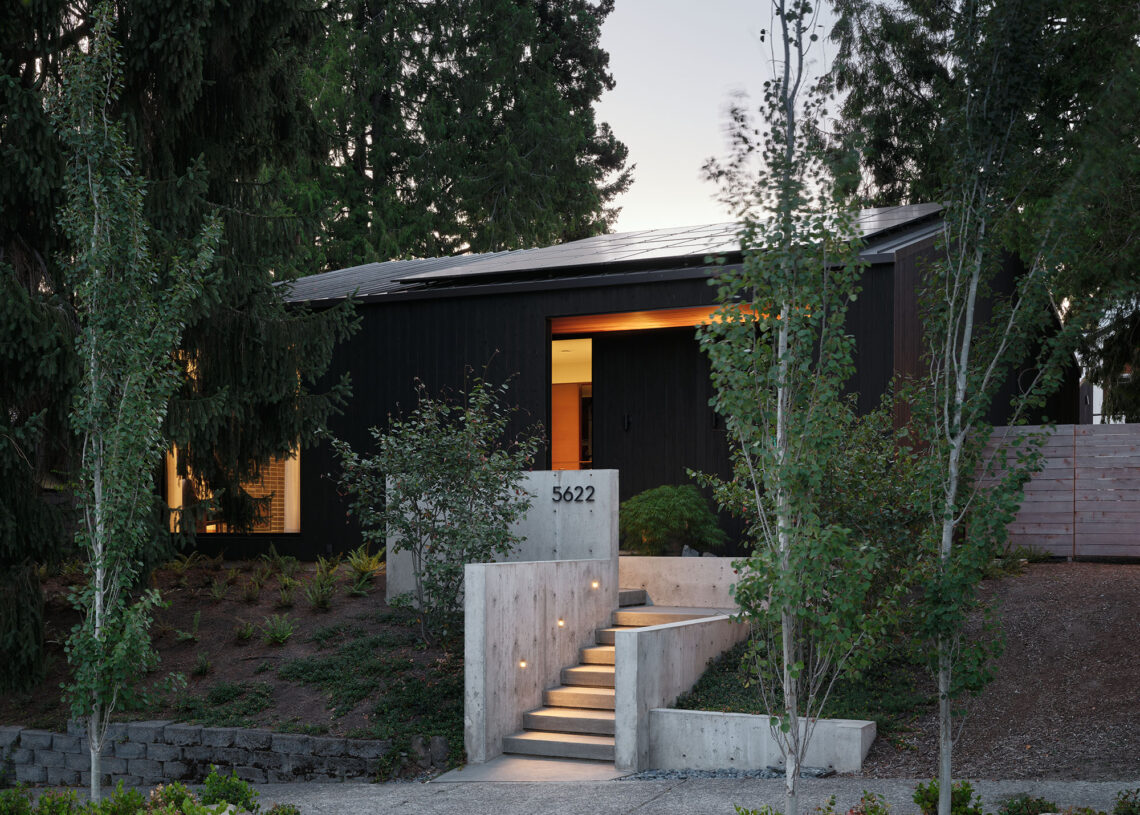 Mr. Belvedere / linework architecture