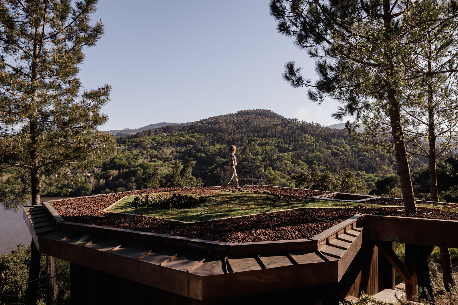 008_1 Douro wood house / mjarc arquitectos