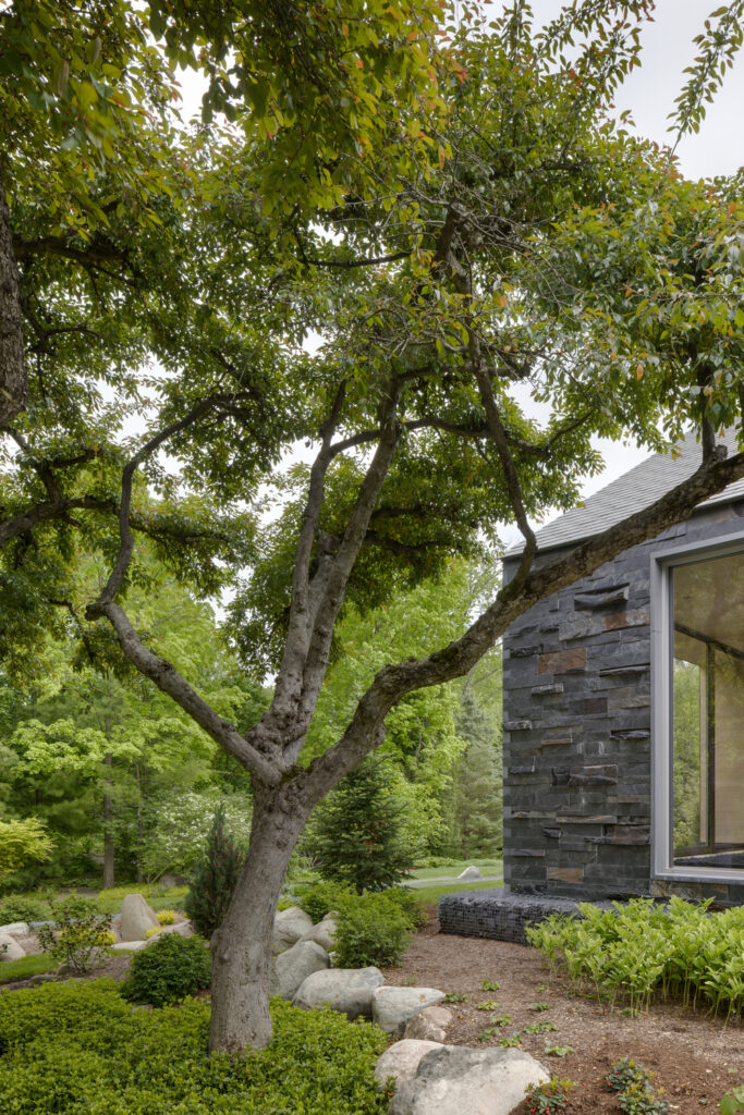 Lakeside residence / disbrow iannuzzi