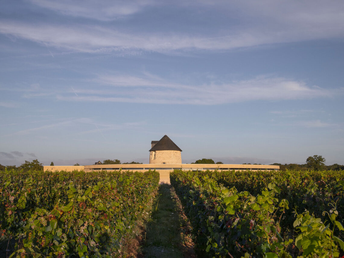 Mill Renovation And Winery Construction / Carmen Maurice Architecture 2 Mill renovation and winery construction / carmen maurice architecture