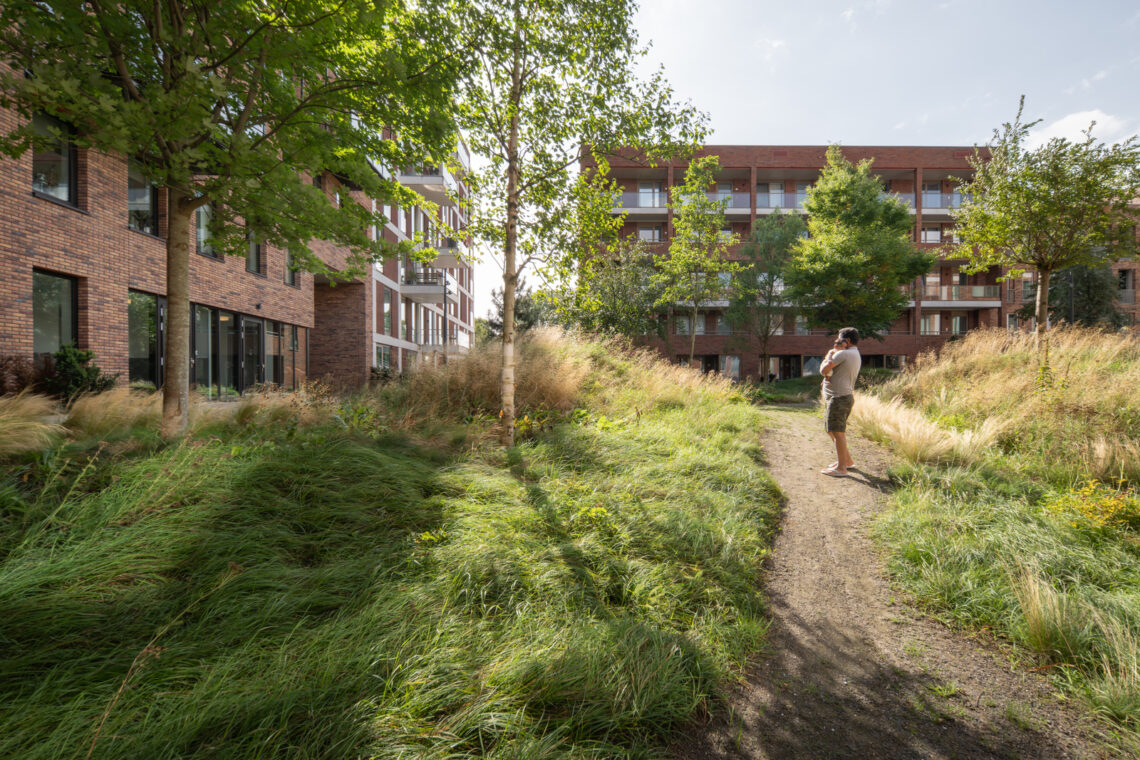 Punt sniep / kcap