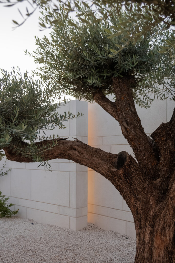 Tneib house / abdel qader tarabieh