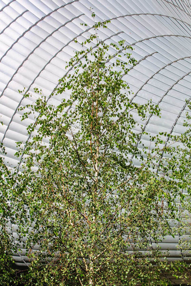 Pathé Foundation / Renzo Piano Building Workshop 13 Pathé foundation / renzo piano building workshop