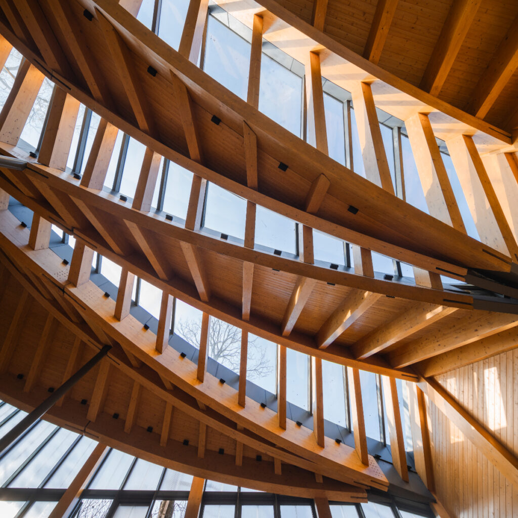 The carpenters house primary architects © dong 2