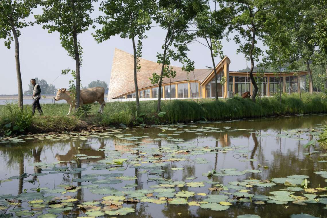 The driftwood village center primary architects © dong 2