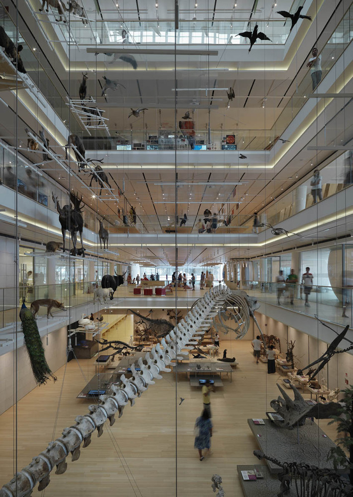 ยฉFotoenricocano Muse / renzo piano building workshop