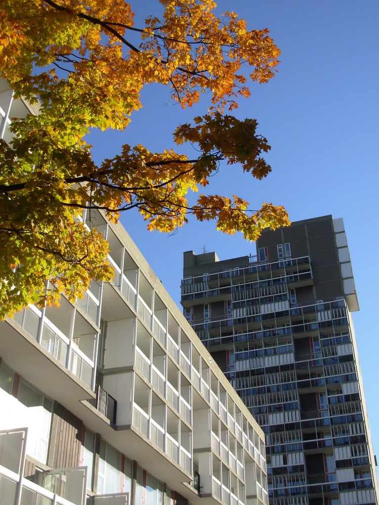 Peabody-Terrace-Sert-Jackson-And-Gourley-Classics-On-Architecture-Lab-6 Peabody terrace / sert, jackson & gourley | classics on architecture lab