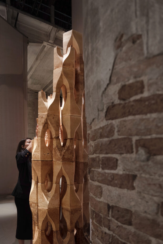 Mycomuseum / Anomalia Studio Llp 5 Mycomuseum / anomalia + mycl