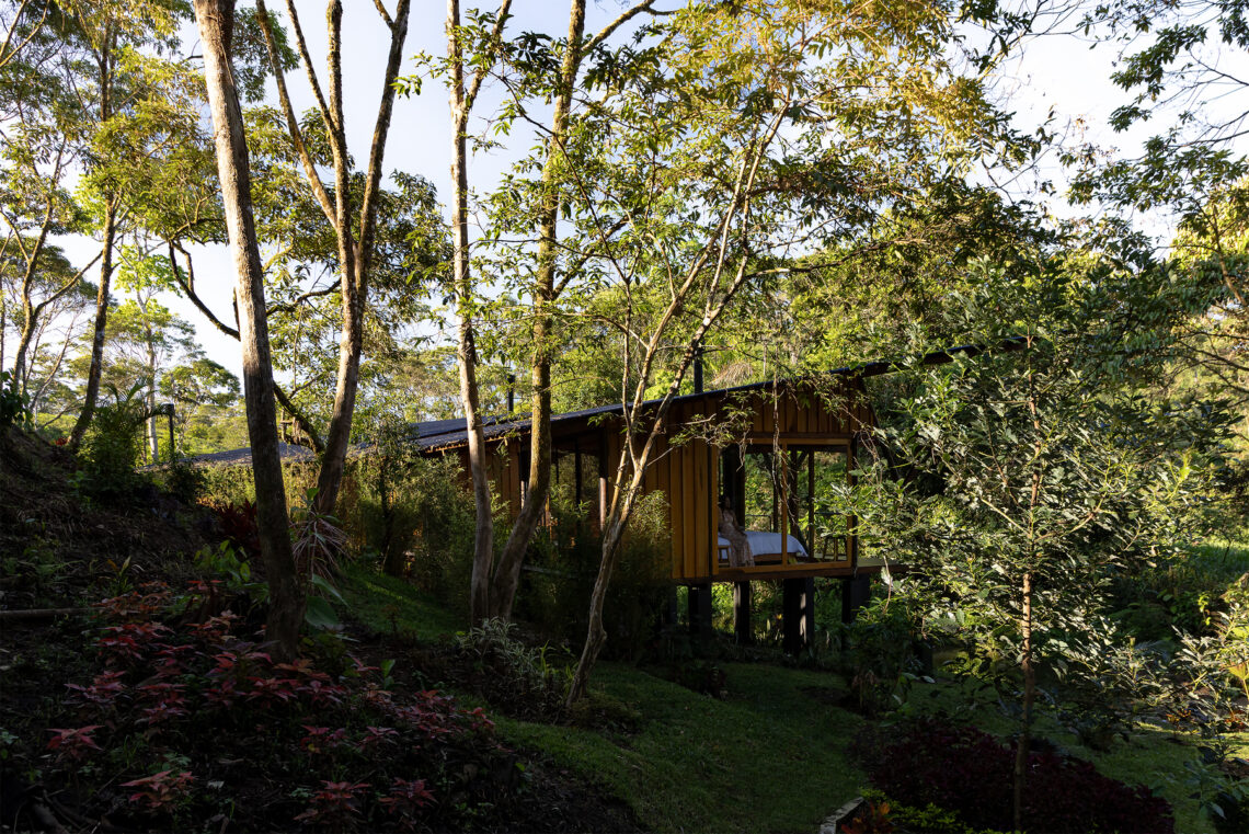 Hoguera De Madera / Mestizo Estudio Arquitectura 28 Hoguera de madera / mestizo estudio arquitectura