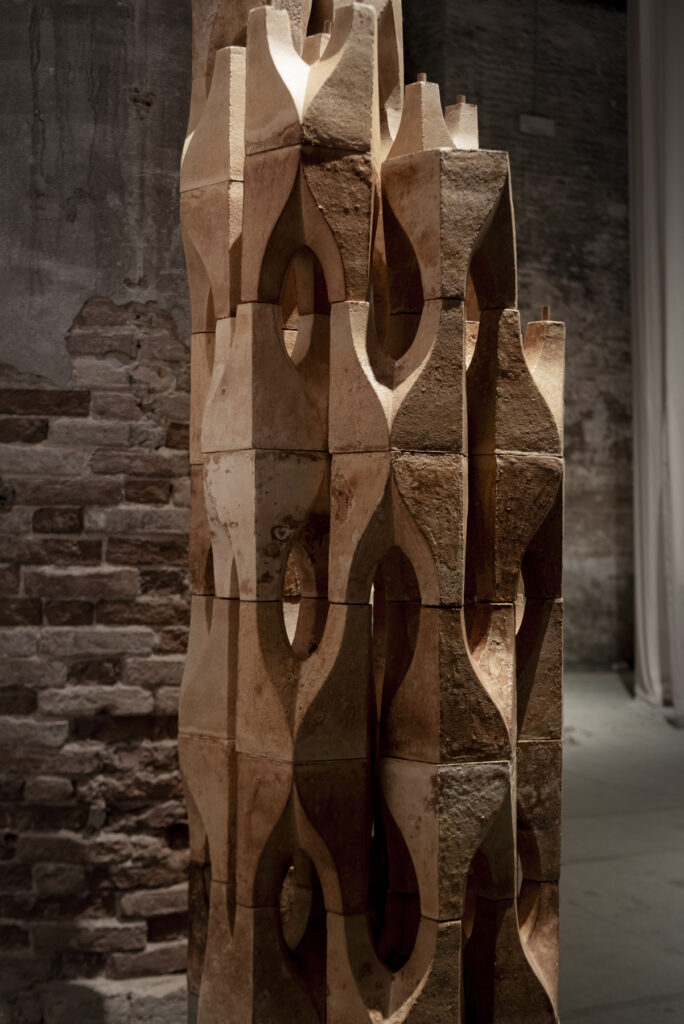 Mycomuseum / Anomalia Studio Llp 9 Mycomuseum / anomalia + mycl