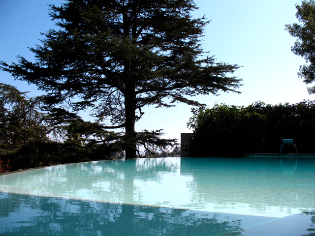 15. Infinity pool — silvertop reiner–burchill residence romi cortier copyright