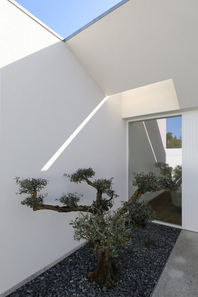 Argivai 4 house / raulino silva architect