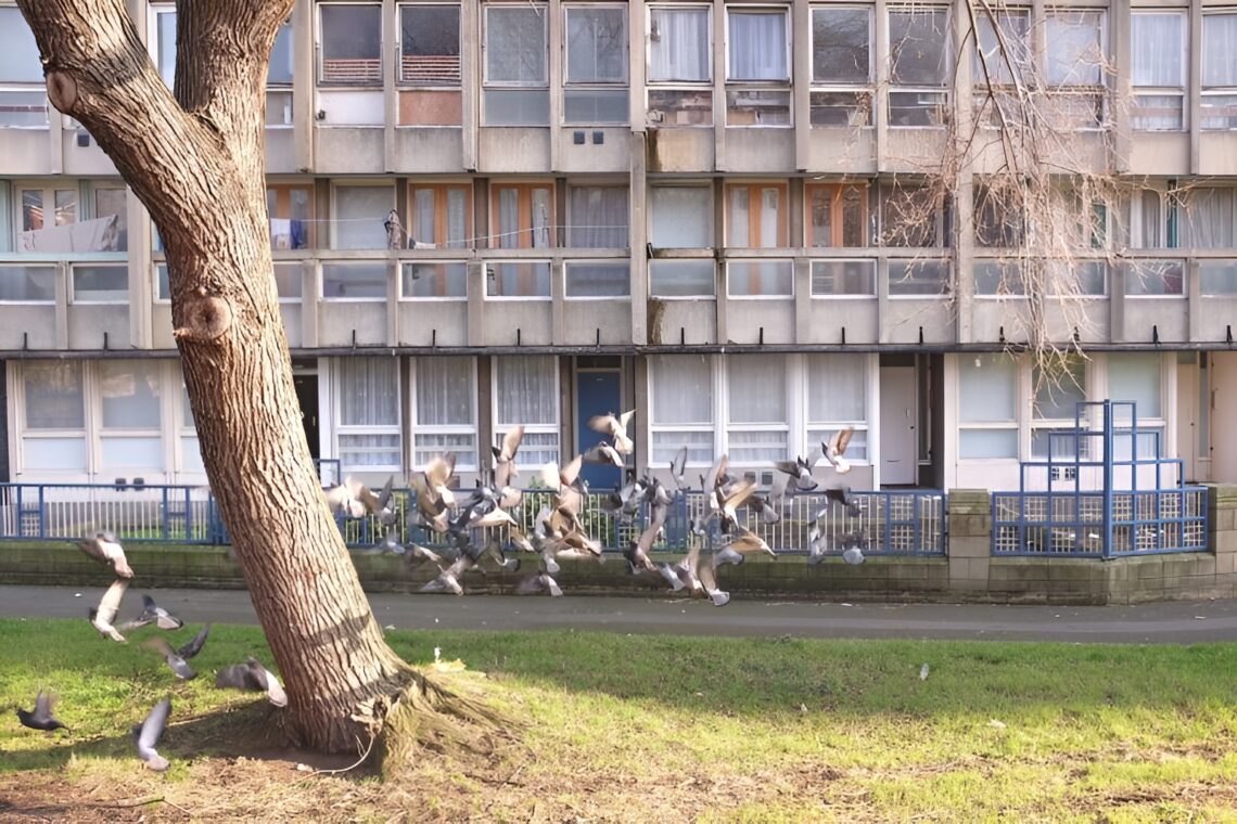 Robin hood gardens / alison and peter smithson | classics on architecture lab