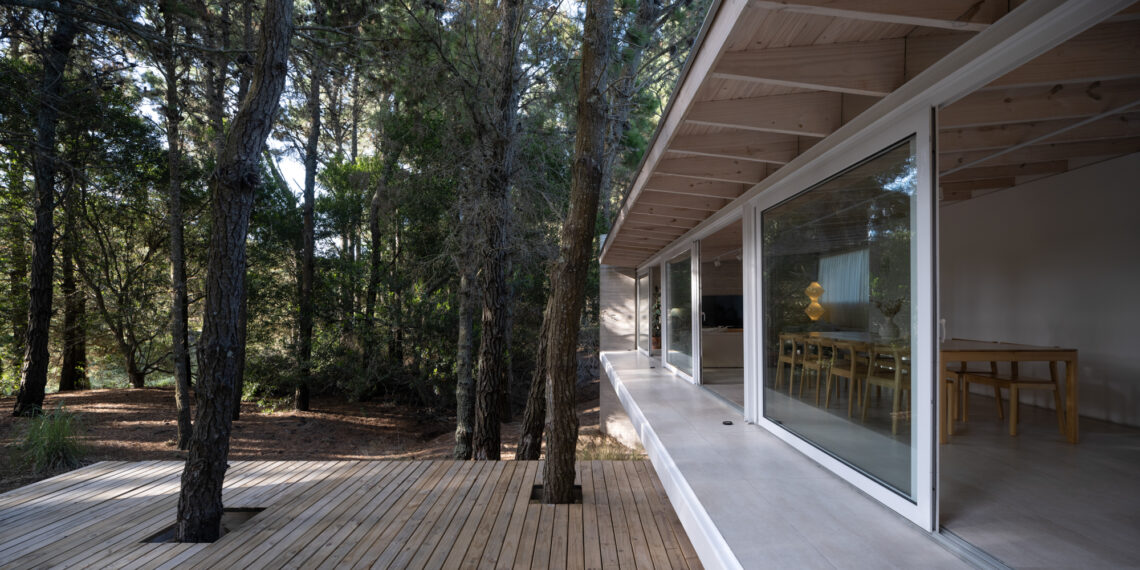 House H1 / Taranti Arq Studio 30 House h1 / taranti arq studio