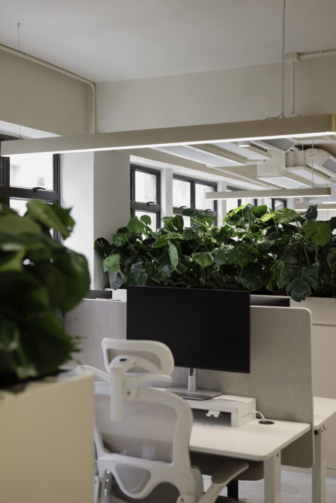 Palatino hospitality / bean buro