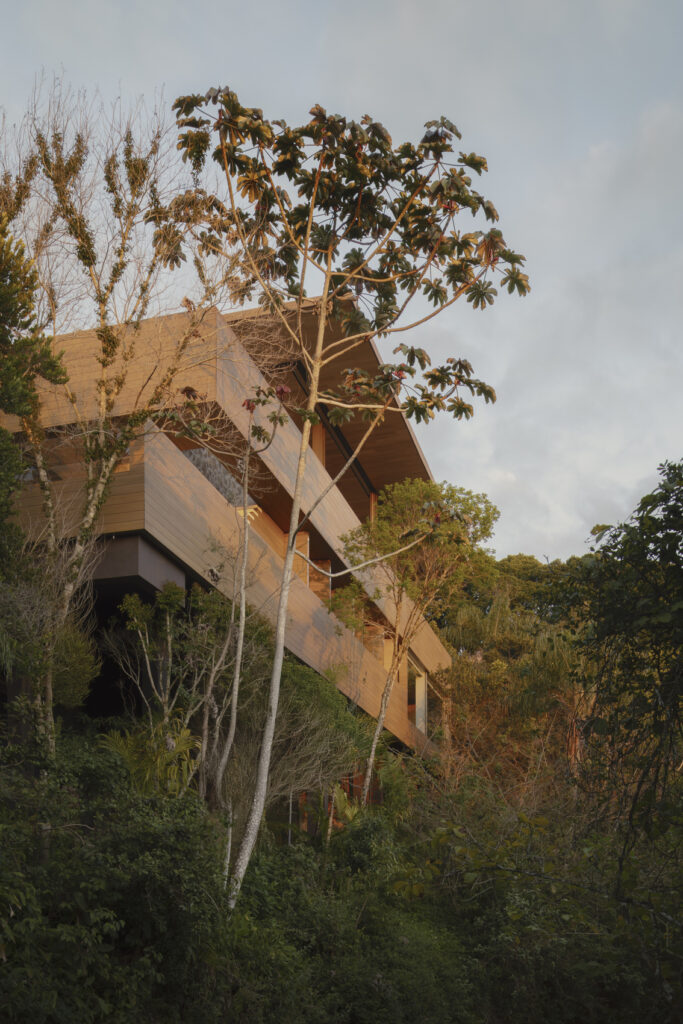 Bravíssima House / Studio Arthur Casas 20 Bravíssima house / studio arthur casas