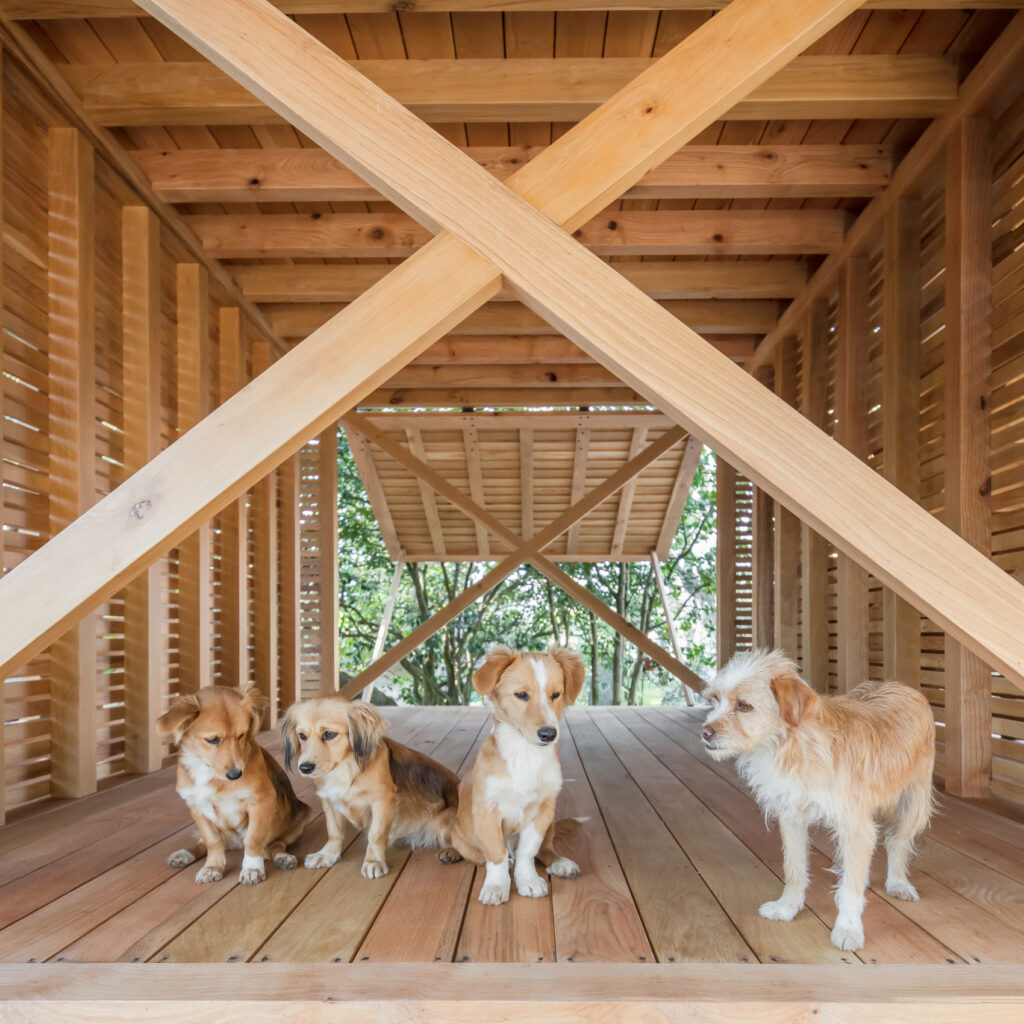 The Dovecote-Granary / Tiago Do Vale Architects 4 The dovecote-granary / tiago do vale architects