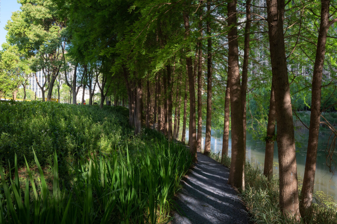 The orchestra park / soba