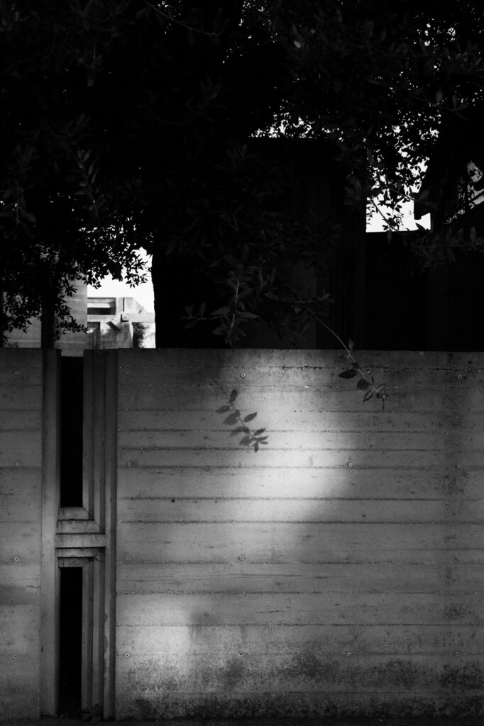 I met myself at brion: a love letter to architecture / studio copacabana