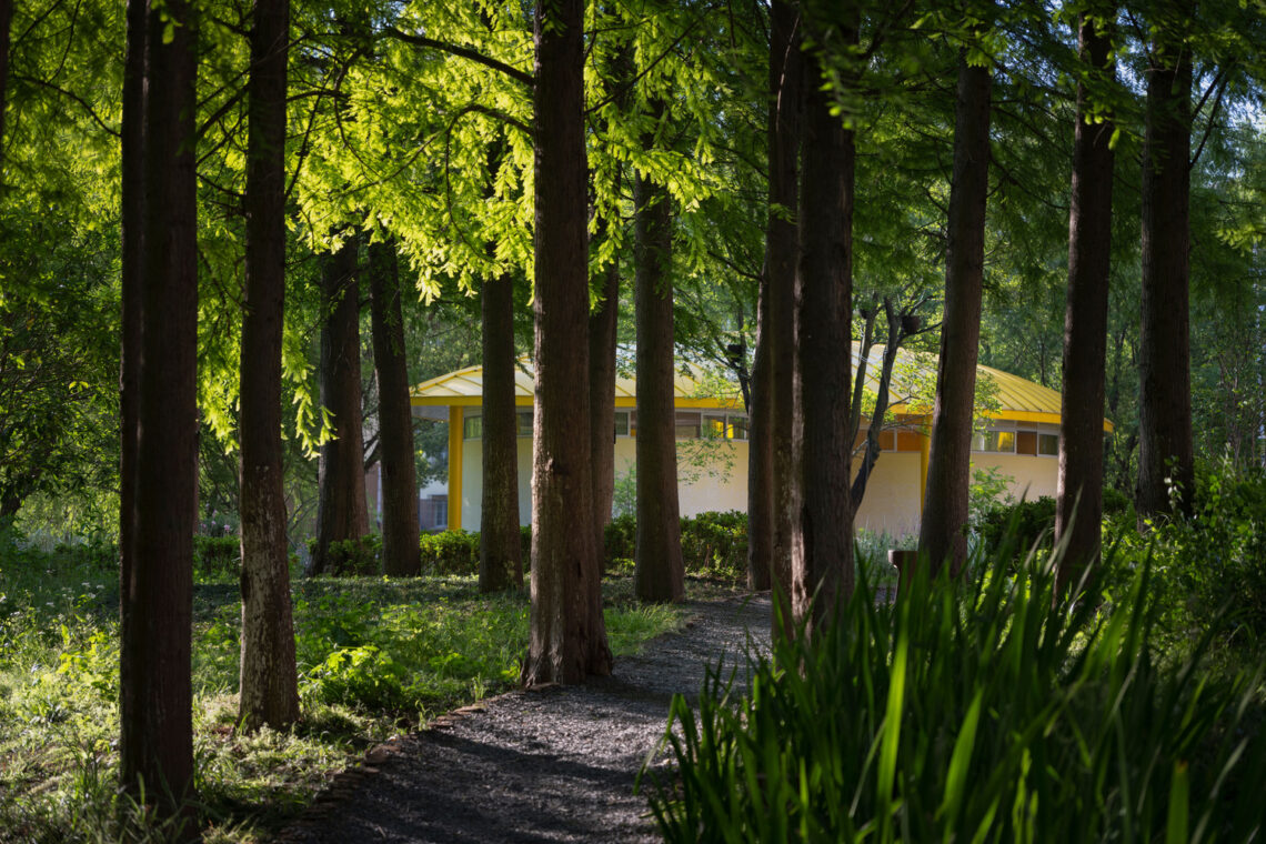 The orchestra park / soba