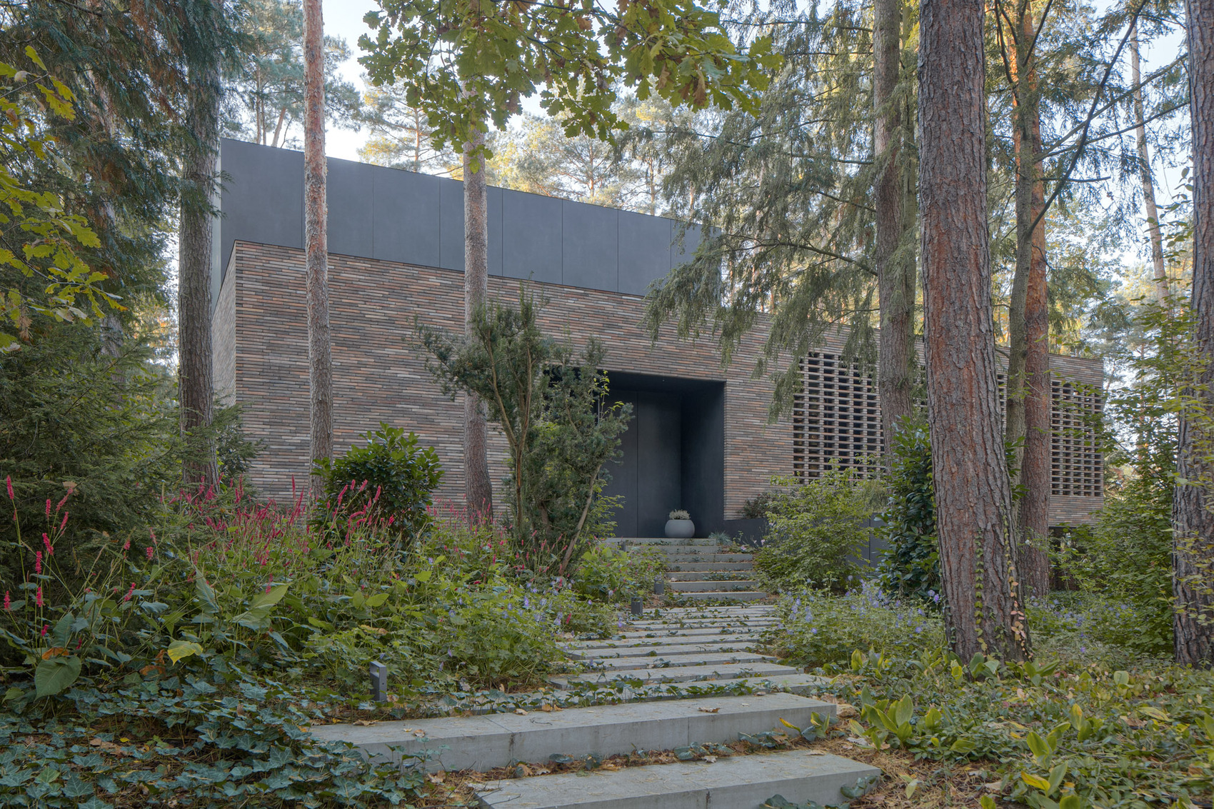 House with a glade / 77studio architektury