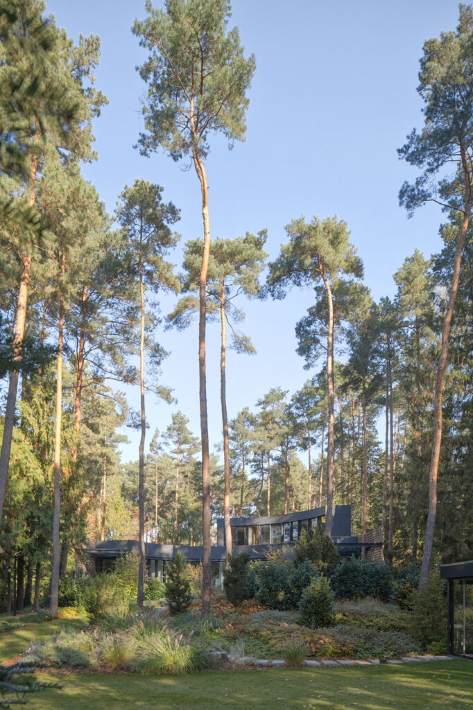 House with a glade / 77studio architektury